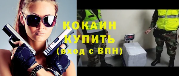 молекула духа Краснослободск