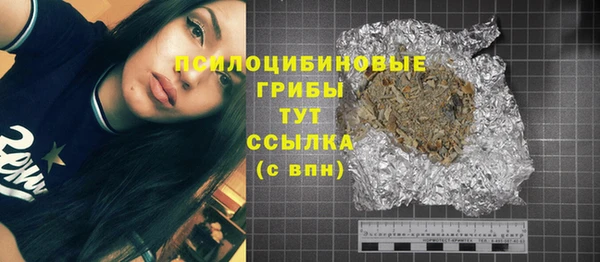 соль ск Кулебаки