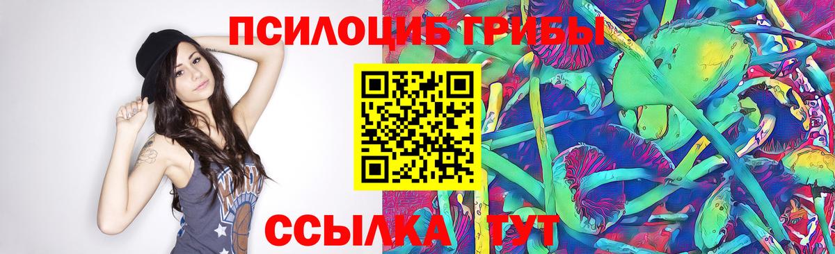 Галлюциногенные грибы Psilocybe  Галлюциногенные грибы MAGIC MUSHROOMS  Коммунар  Вход с VPN 