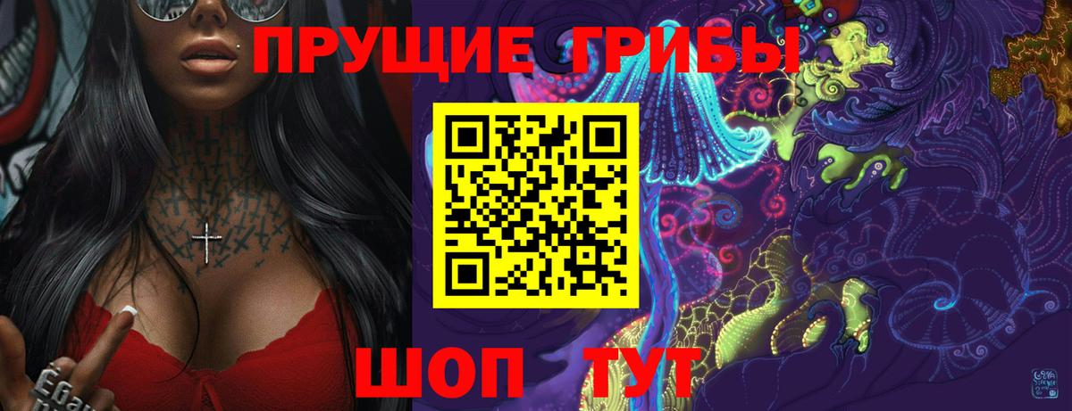 Коммунар  Псилоцибиновые грибы Psilocybe  Вход с VPN 
