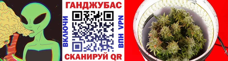 Бошки марихуана сатива Коммунар