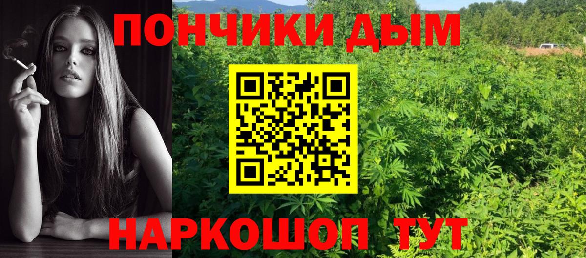 Шишки марихуана гибрид  Вход с VPN  Коммунар  МАРИХУАНА Amnesia  Конопля Bruce Banner  Бошки Шишки планчик 